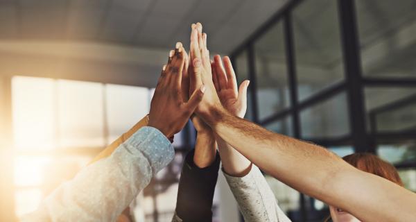 Histoires à succès de nouveaux arrivants